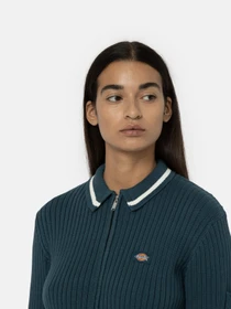 Худи и свитшоты Dickies Elkhart Zip модель DK0A4YMGF971 Фото