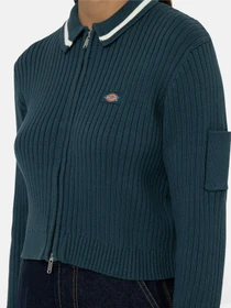 Худи и свитшоты Dickies Elkhart Zip модель DK0A4YMGF971 Фото