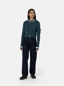 Худи и свитшоты Dickies Elkhart Zip модель DK0A4YMGF971 Фото