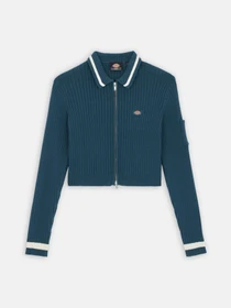 Худи и свитшоты Dickies Elkhart Zip модель DK0A4YMGF971 Фото