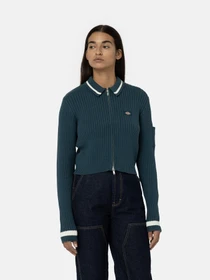 Худи и свитшоты Dickies Elkhart Zip модель DK0A4YMGF971 Фото