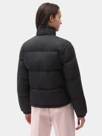 Куртки та дублянки Dickies Alatna модель DK0A4XP3BLK1 Фото