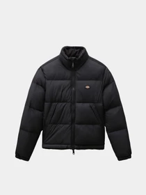 Куртки та дублянки Dickies Alatna модель DK0A4XP3BLK1 Фото