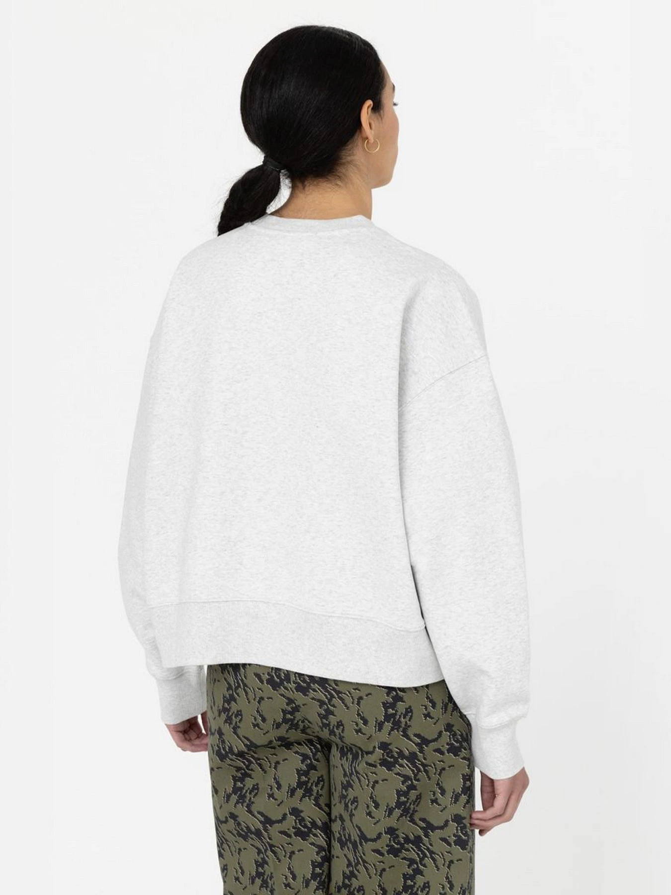 Худи и свитшоты Dickies Summerdale модель DK0A4XYXA281 Фото
