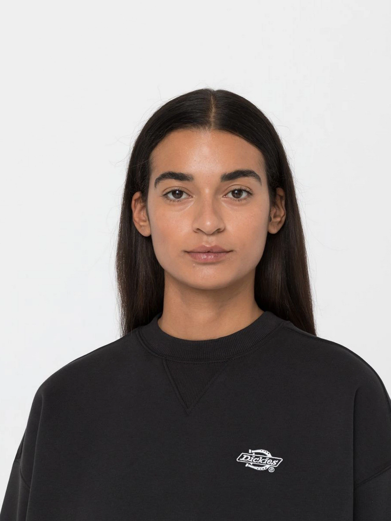 Худи и свитшоты Dickies Summerdale модель DK0A4XYXBLK1 Фото