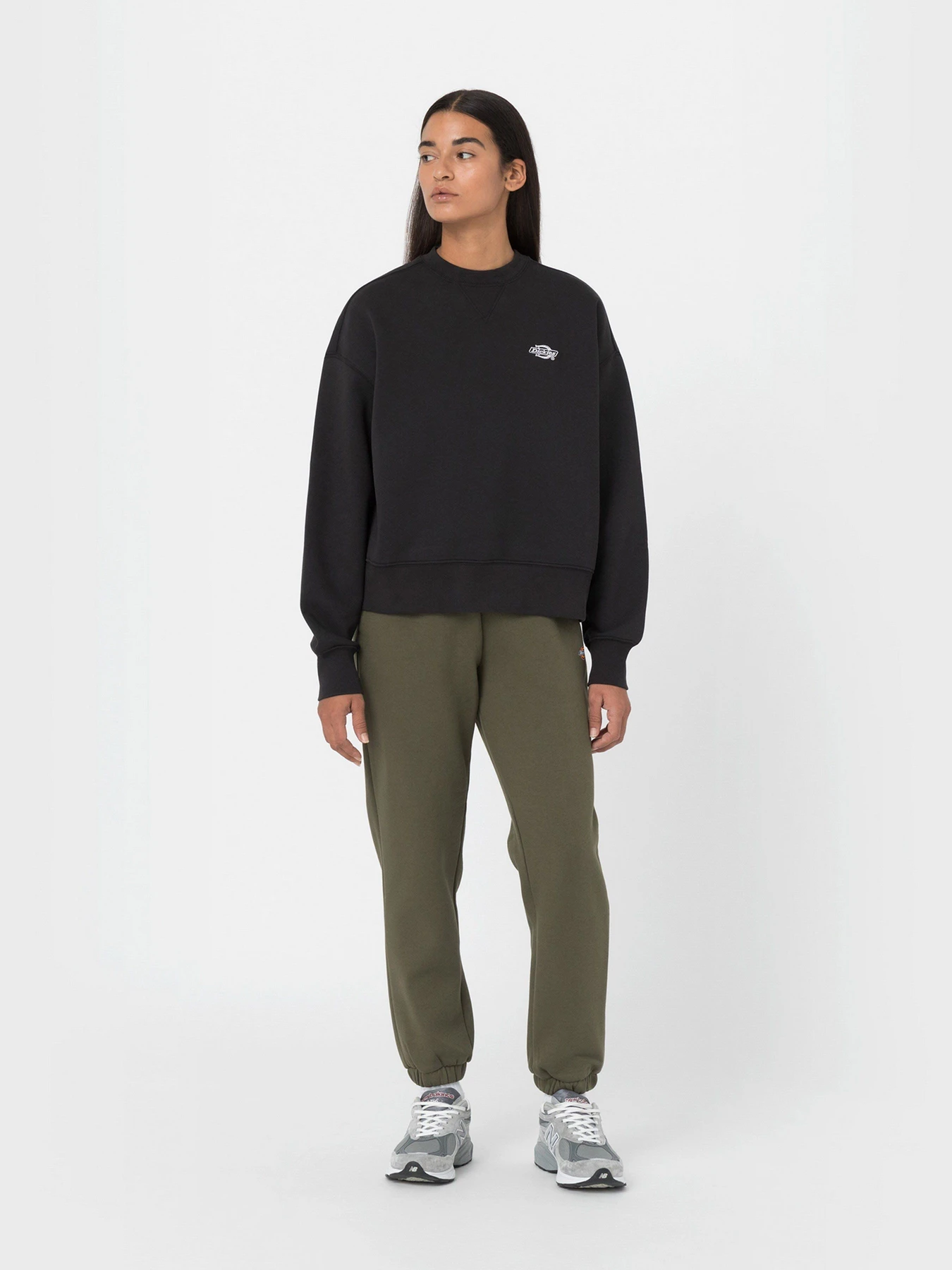 Худи и свитшоты Dickies Summerdale модель DK0A4XYXBLK1 Фото