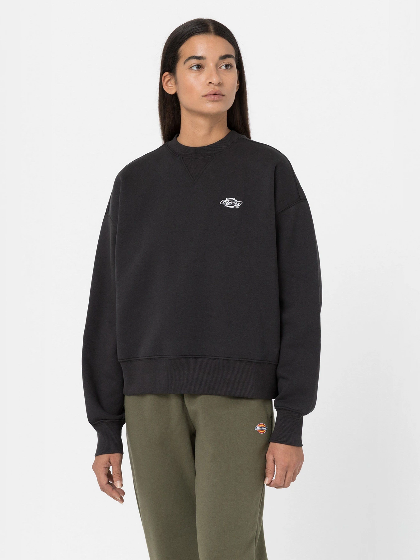 Худи и свитшоты Dickies Summerdale модель DK0A4XYXBLK1 Фото