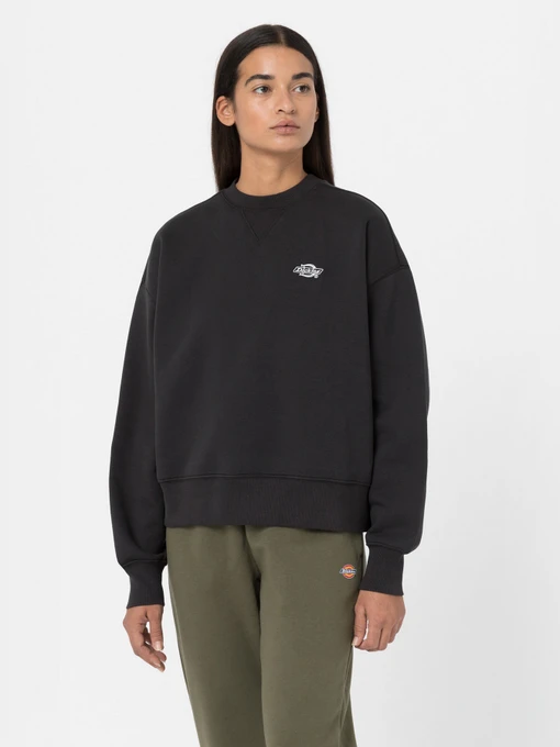 Худі та світшоти Dickies Summerdale модель DK0A4XYXBLK1 Фото