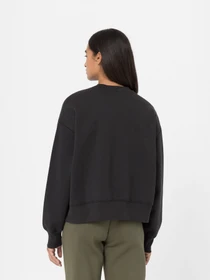 Худи и свитшоты Dickies Summerdale модель DK0A4XYXBLK1 Фото