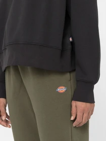 Худи и свитшоты Dickies Summerdale модель DK0A4XYXBLK1 Фото