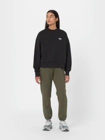 Худи и свитшоты Dickies Summerdale модель DK0A4XYXBLK1 Фото