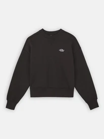 Худи и свитшоты Dickies Summerdale модель DK0A4XYXBLK1 Фото
