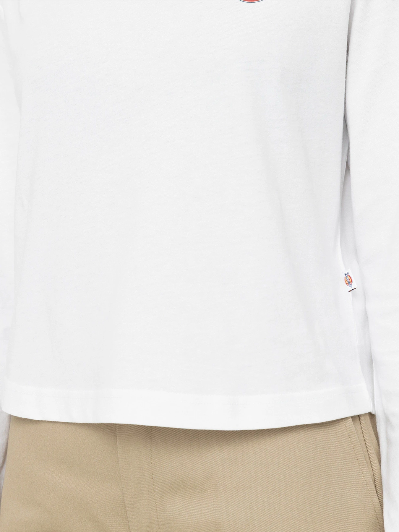 Худи и свитшоты Dickies Mapleton High Neck модель DK0A4Y2JWHX1 Фото