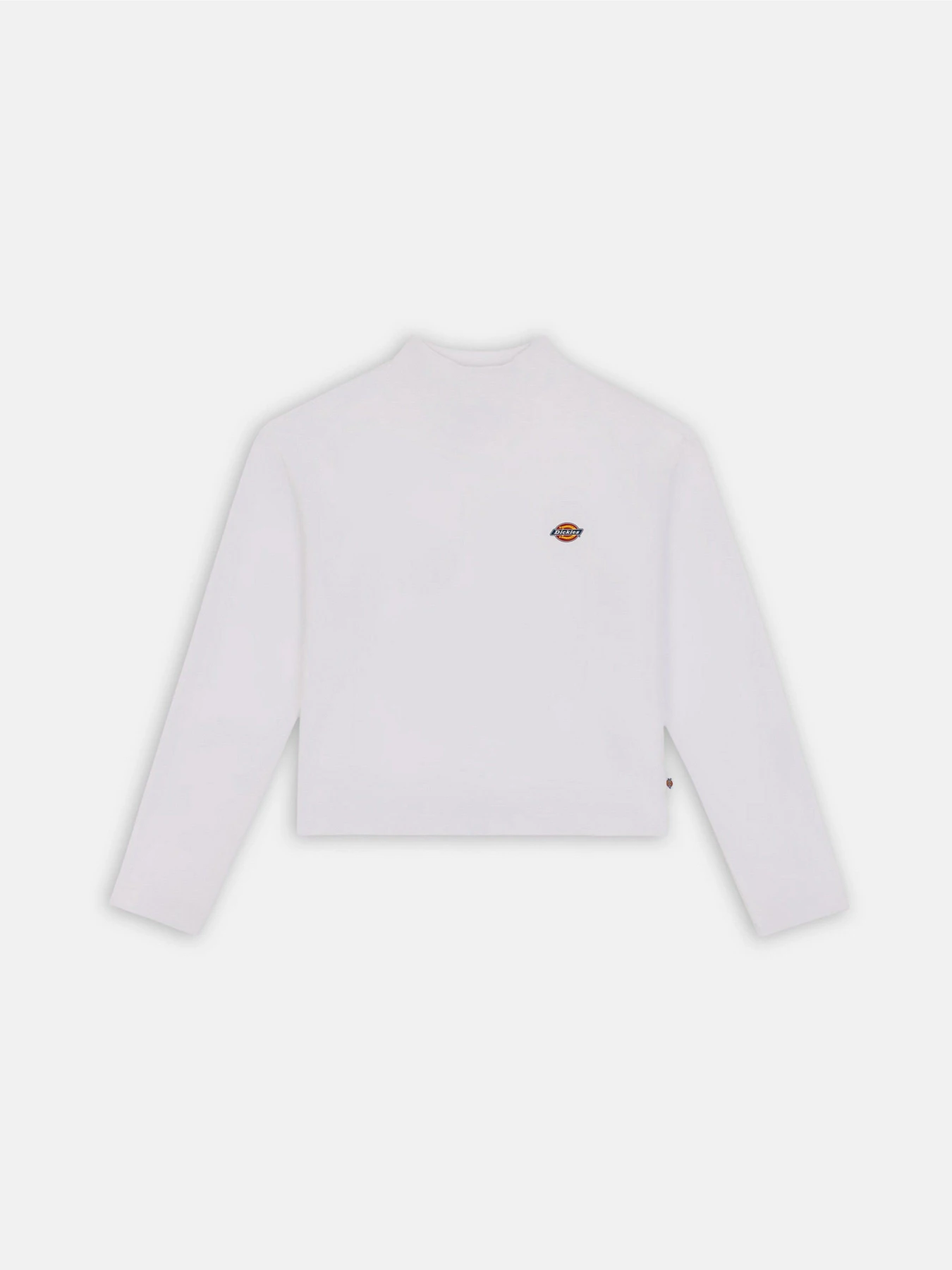 Худи и свитшоты Dickies Mapleton High Neck модель DK0A4Y2JWHX1 Фото