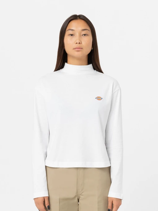 Худі та світшоти Dickies Mapleton High Neck модель DK0A4Y2JWHX1 Фото