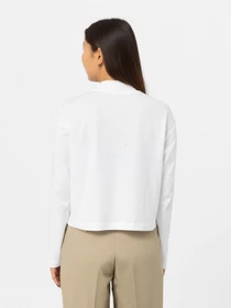 Худи и свитшоты Dickies Mapleton High Neck модель DK0A4Y2JWHX1 Фото