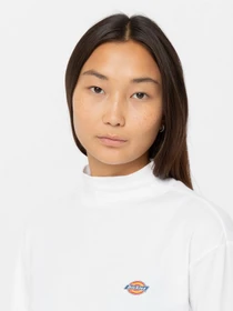 Худи и свитшоты Dickies Mapleton High Neck модель DK0A4Y2JWHX1 Фото