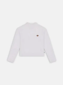 Худи и свитшоты Dickies Mapleton High Neck модель DK0A4Y2JWHX1 Фото