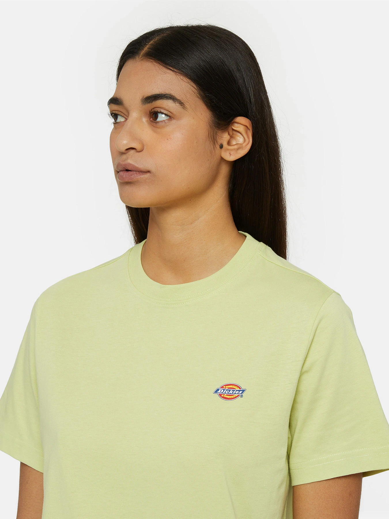 Футболки і поло Dickies Mapleton модель DK0A4XDAH141 Футболки і поло Dickies Mapleton модель DK0A4XDAH141 Фото