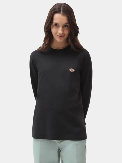 Худі та світшоти Dickies Ls Mapleton модель DK0A4XITBLK1 Фото