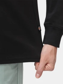 Худи и свитшоты Dickies Ls Mapleton модель DK0A4XITBLK1 Фото
