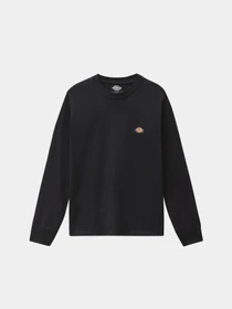 Худи и свитшоты Dickies Ls Mapleton модель DK0A4XITBLK1 Фото