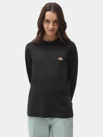 Худи и свитшоты Dickies Ls Mapleton модель DK0A4XITBLK1 Фото