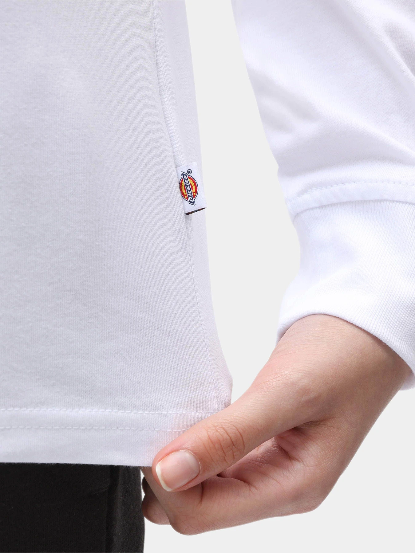 Худі та світшоти Dickies Ls Mapleton модель DK0A4XITWHX1 Худі та світшоти Dickies Ls Mapleton модель DK0A4XITWHX1 Фото