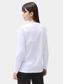 Худі та світшоти Dickies Ls Mapleton модель DK0A4XITWHX1 Фото