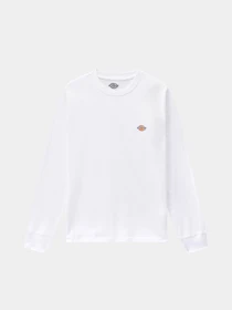 Худі та світшоти Dickies Ls Mapleton модель DK0A4XITWHX1 Фото
