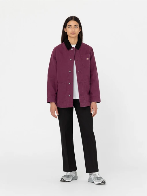 Жіночі Повсякденні штани Dickies Elizaville Rec фото 3