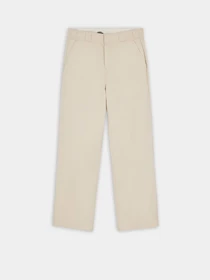 Брюки Dickies Elizaville Rec модель DK0A4XKBF901 Фото