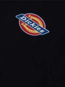 Платья Dickies Chain Lake модель DK0A4XMCBLK1 Фото
