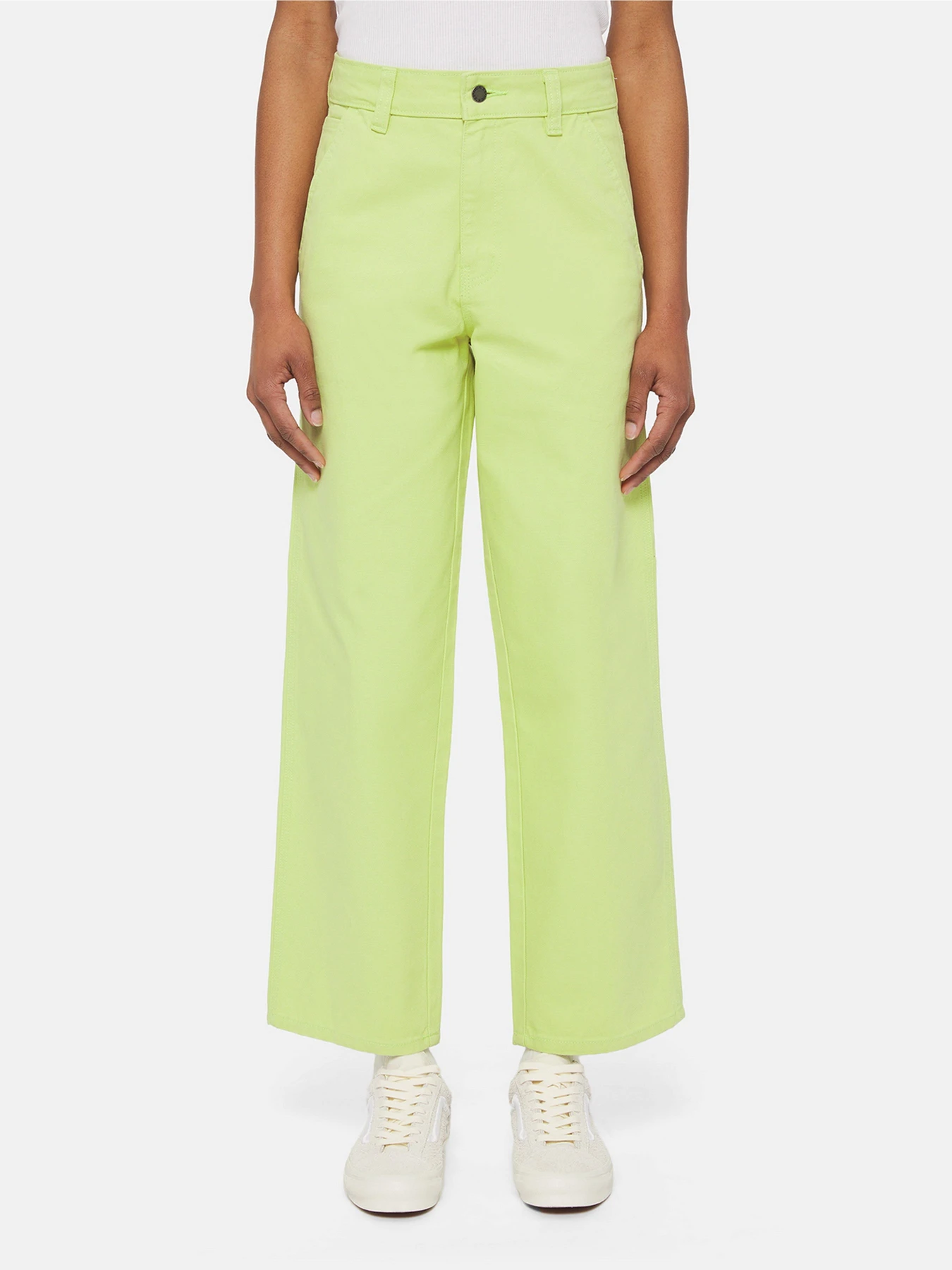 Штани Dickies Duck Canvas модель DK0A4XZLH701 Фото