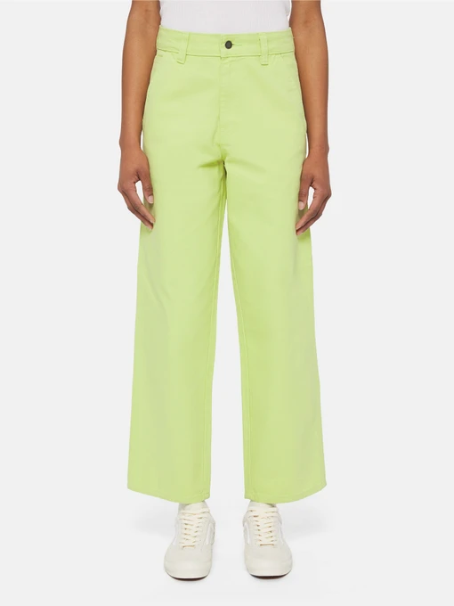 Штани Dickies Duck Canvas модель DK0A4XZLH701 Фото