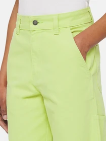 Штани Dickies Duck Canvas модель DK0A4XZLH701 Фото