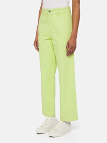 Штани Dickies Duck Canvas модель DK0A4XZLH701 Фото