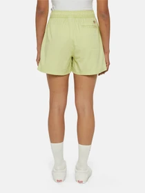 Шорты Dickies Vale модель DK0A4Y84H141 Фото