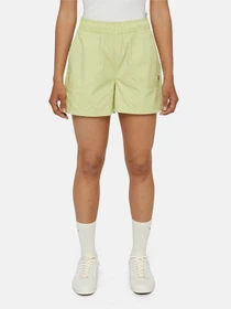 Шорти Dickies Vale модель DK0A4Y84H141 Фото