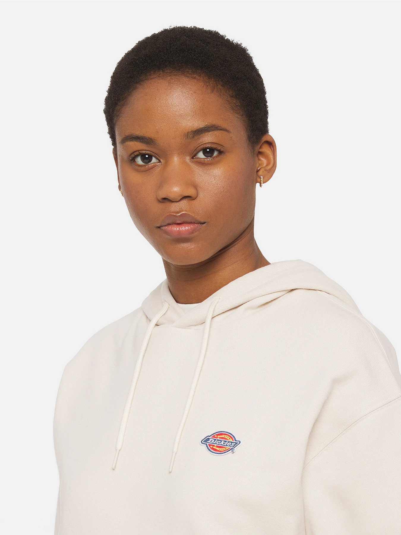 Худи и свитшоты Dickies Millersburg модель DK0A4YQCF901 Фото