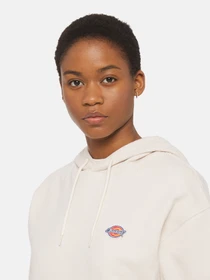 Худи и свитшоты Dickies Millersburg модель DK0A4YQCF901 Фото