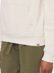Худи и свитшоты Dickies Millersburg модель DK0A4YQCF901 Фото