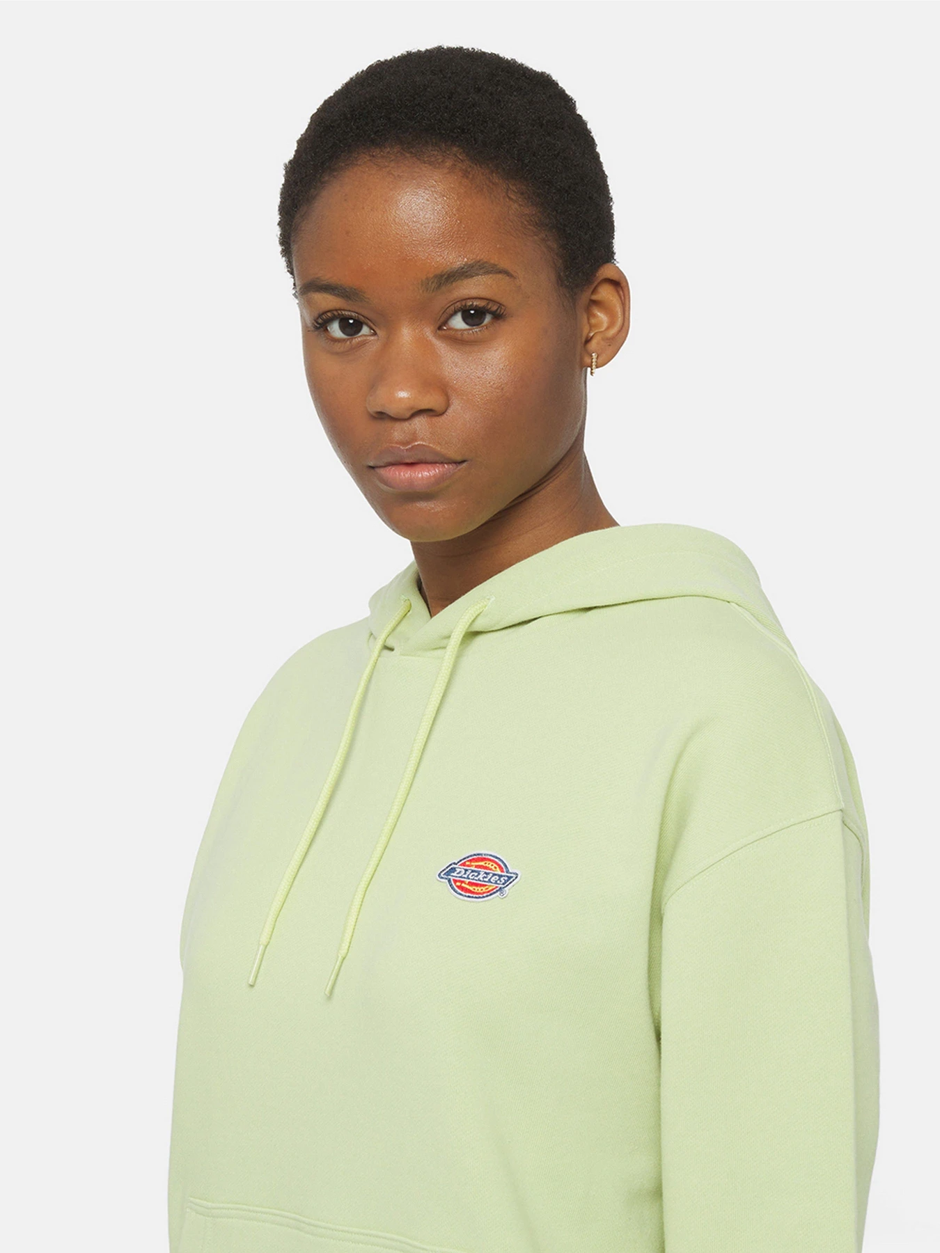 Худи и свитшоты Dickies Millersburg модель DK0A4YQCH141 Худи и свитшоты Dickies Millersburg модель DK0A4YQCH141 Фото
