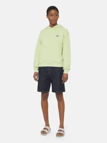 Худи и свитшоты Dickies Millersburg модель DK0A4YQCH141 Фото