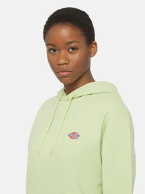 Худи и свитшоты Dickies Millersburg модель DK0A4YQCH141 Фото