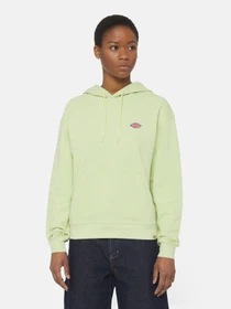Худі та світшоти Dickies Millersburg модель DK0A4YQCH141 Фото