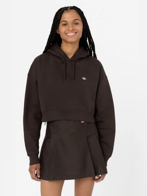 Худі та світшоти Dickies модель DK0A4XJTDBX1 Фото