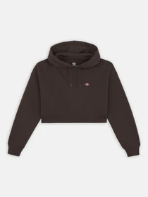 Худи и свитшоты Dickies модель DK0A4XJTDBX1 Фото