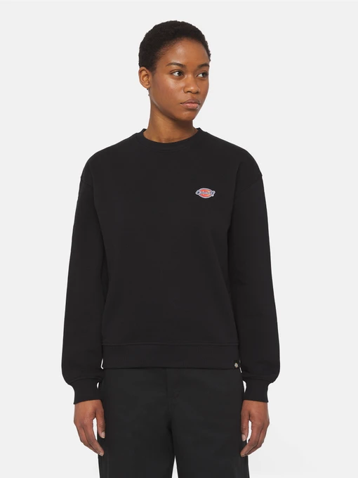 Худі та світшоти Dickies Millersburg модель DK0A4YQDBLK1 Фото