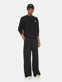 Худі та світшоти Dickies Millersburg модель DK0A4YQDBLK1 Фото